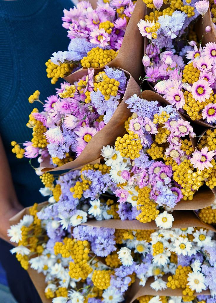 Wildflowers by Floriette Dried Flowers - Market More XL - Dutch Mix