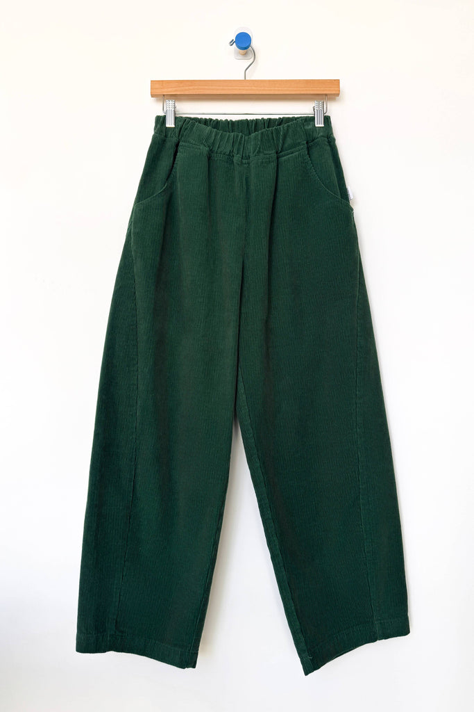 Green pants on a wooden hanger against a white background