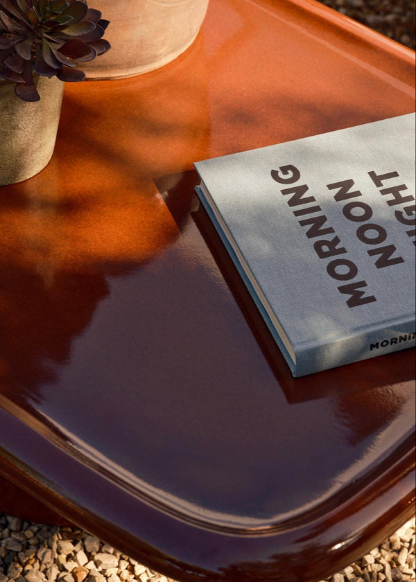 Book titled 'Morning Noon Night' on a reflective surface with a potted plant in the background