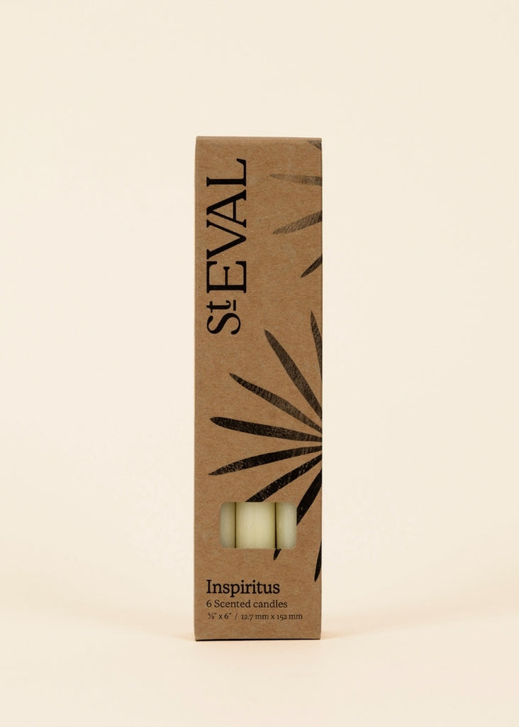 Cardboard box with 'St Eval' branding on a beige background