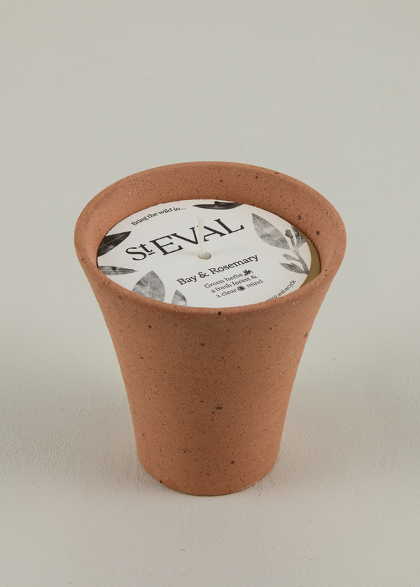 Terracotta pot with a label on a light gray background