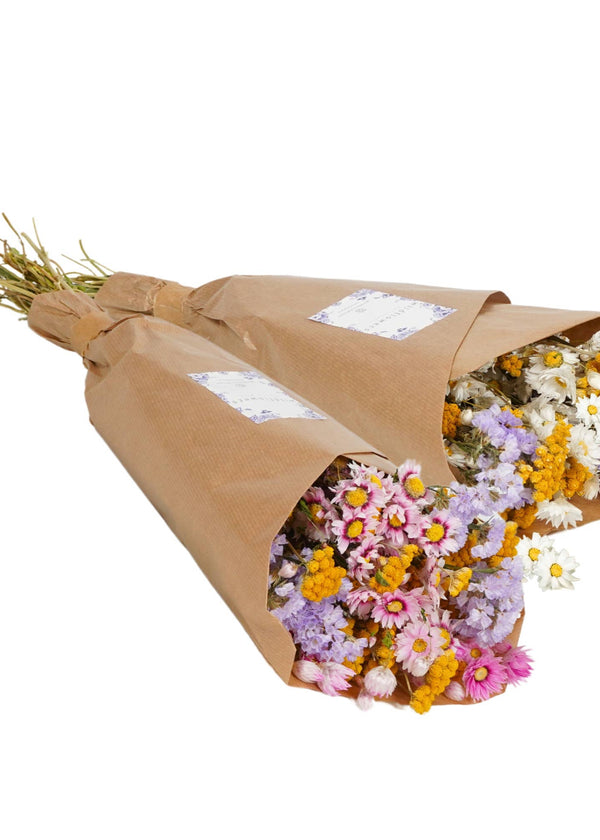 Wildflowers by Floriette Dried Flowers - Market More XL - Dutch Mix