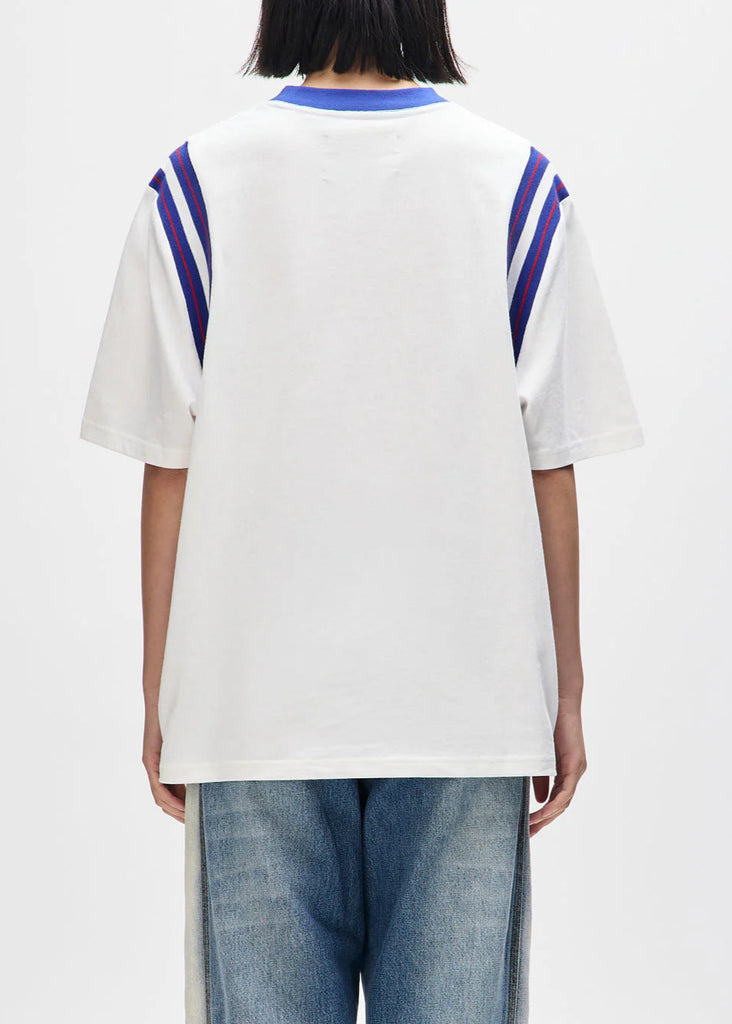Person wearing a white t-shirt with blue and red stripes on a white background