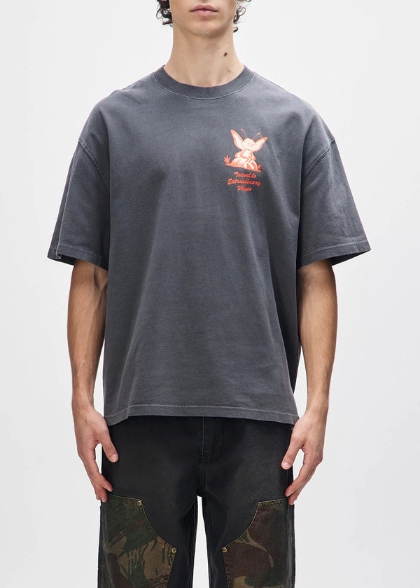 Person wearing a gray t-shirt with a logo on a white background