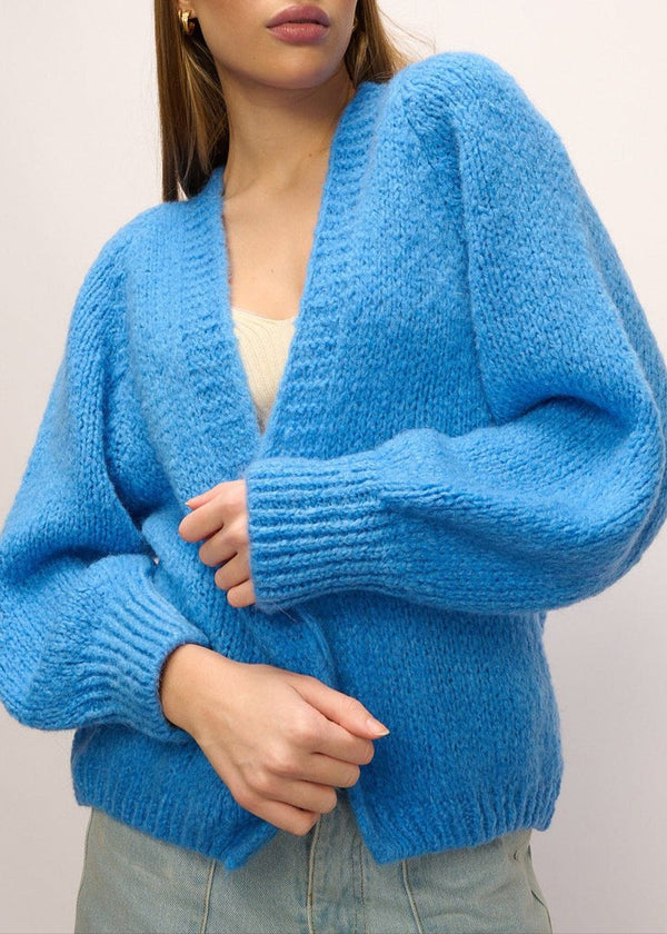 Noella Fora Knit Cardigan in Blue