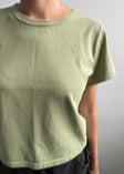 Le Bon Shoppe The Little Boy Tee in Pistachio