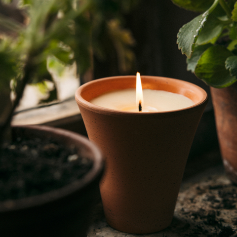 St Eval Bergamot &amp; Nettle, Large Victorian Herb Potted Candle