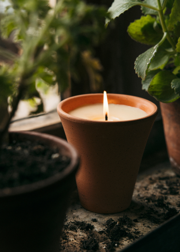 St Eval Bergamot &amp; Nettle, Large Victorian Herb Potted Candle